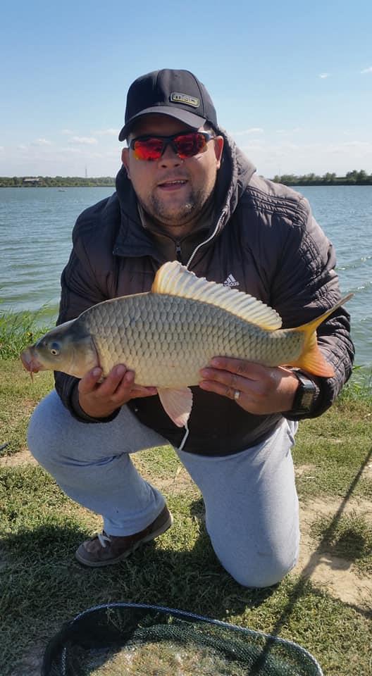 Chiscani 2017 - 2204593616705098830190256577285097342297677n.jpg